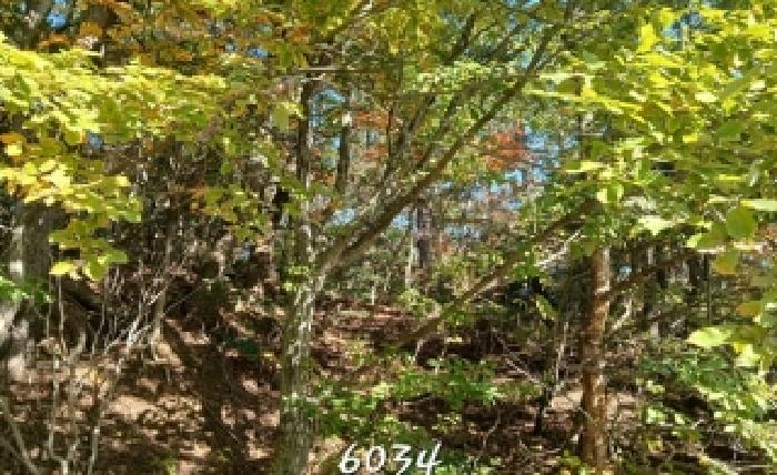2025타경6034 임야 · 부산광역시 기장군 일광읍 칠암리 산3-20