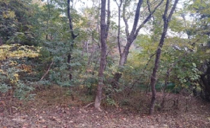 2025타경6046 임야 · 부산광역시 수영구 남천동 산9-2