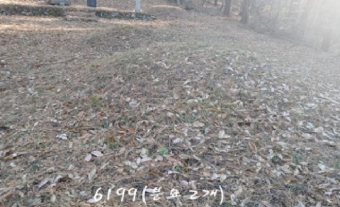 2025타경6199 임야 · 부산광역시 기장군 철마면 안평리 산109