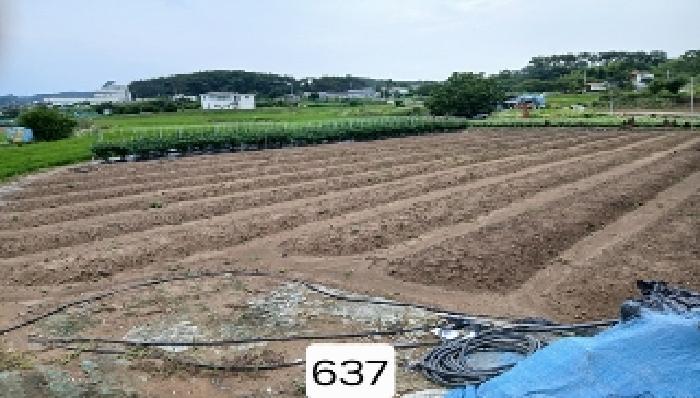 2025타경637 전답 · 부산광역시 기장군 일광읍 문중리 141