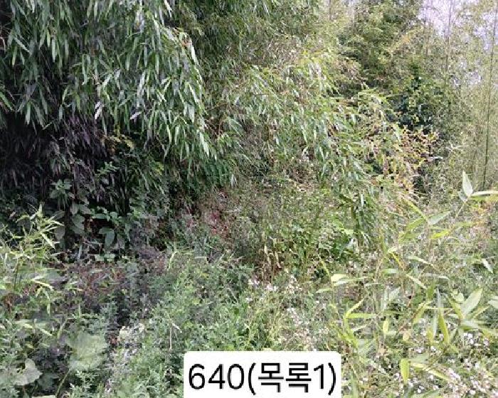 2025타경640 · 부산광역시 기장군 정관읍 임곡리 185