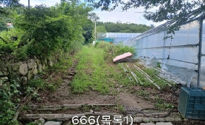 2025타경666 임야 · 부산광역시 기장군 철마면 웅천리 876-2