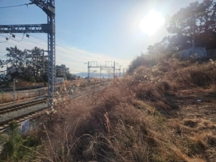 2026타경5046 · 부산광역시 기장군 장안읍 월내리 479