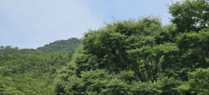2024타경105493 임야 · 부산광역시 사상구 학장동