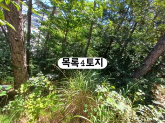 2024타경107093 전답 · 부산광역시 강서구 생곡동