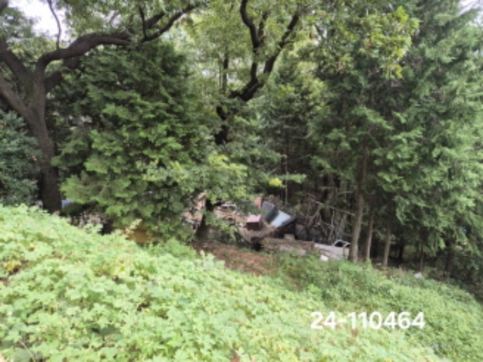 2024타경110464 임야 · 부산광역시 서구 암남동