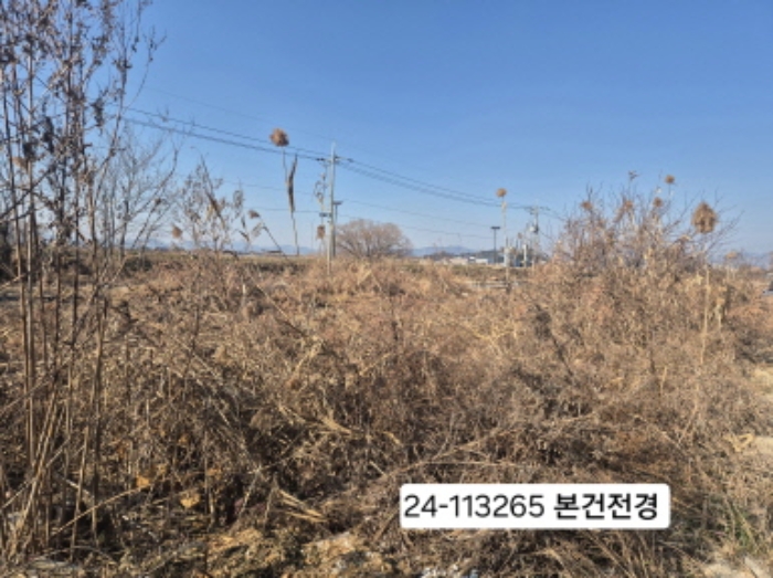 2024타경113265 전답 · 부산광역시 강서구 강동동