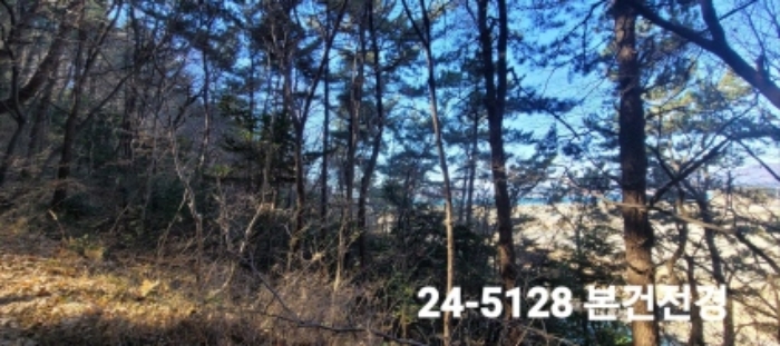 2024타경5128 임야 · 부산광역시 강서구 성북동