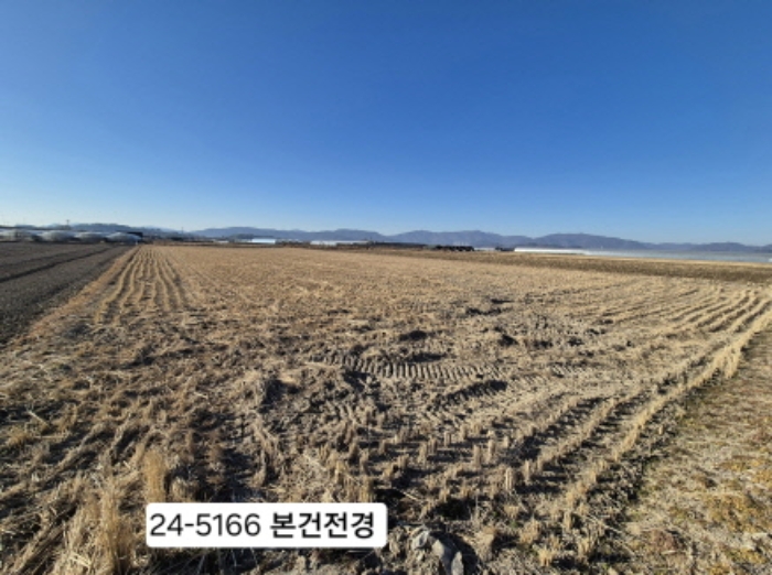 2024타경5166 전답 · 부산광역시 강서구 식만동 492
