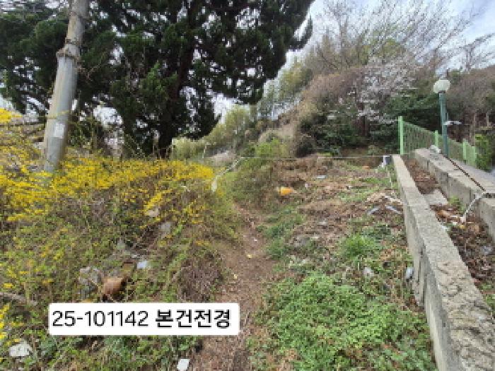 2025타경101142 임야 · 부산광역시 사하구 괴정동