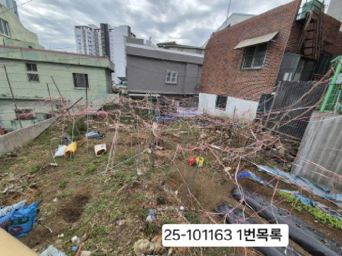 2025타경101163 대지 · 부산광역시 서구 남부민동