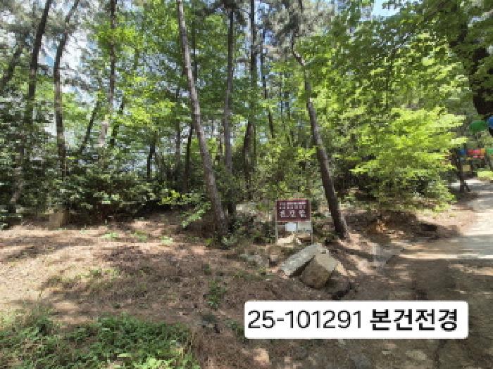 2025타경101291 임야 · 부산광역시 사상구 모라동 산91
