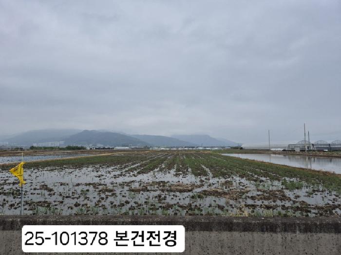 2025타경101378 전답 · 부산광역시 강서구 강동동