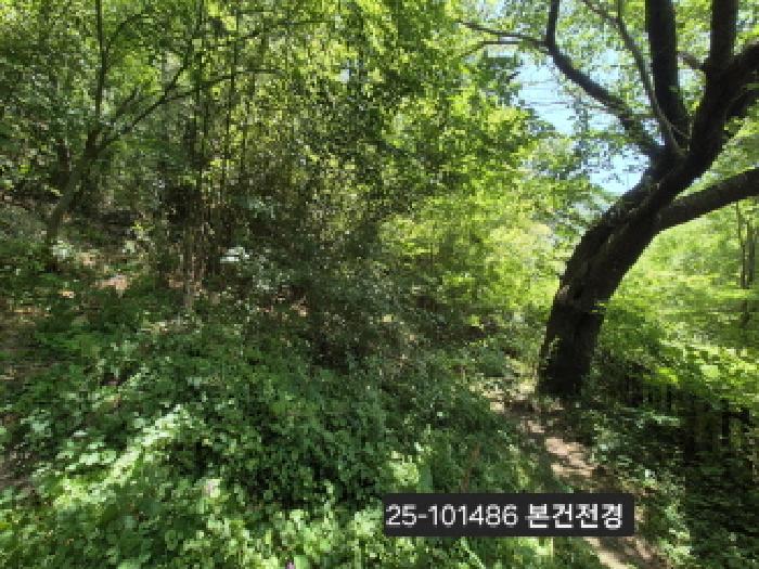 2025타경101486 임야 · 부산광역시 북구 덕천동 산118-1