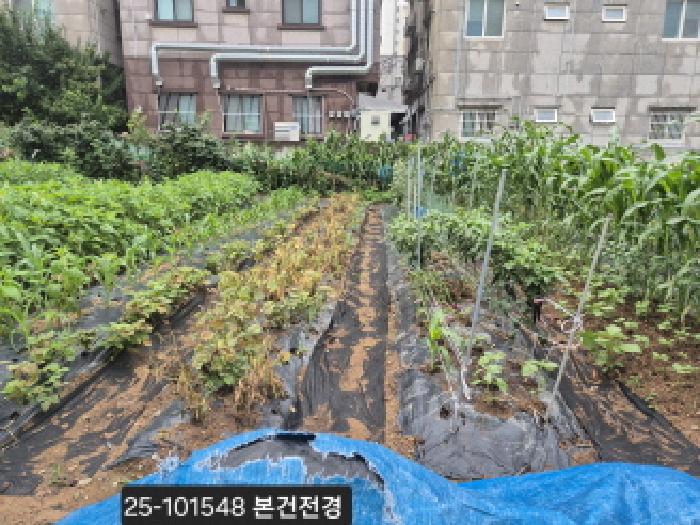 2025타경101548 대지 · 부산광역시 강서구 지사동