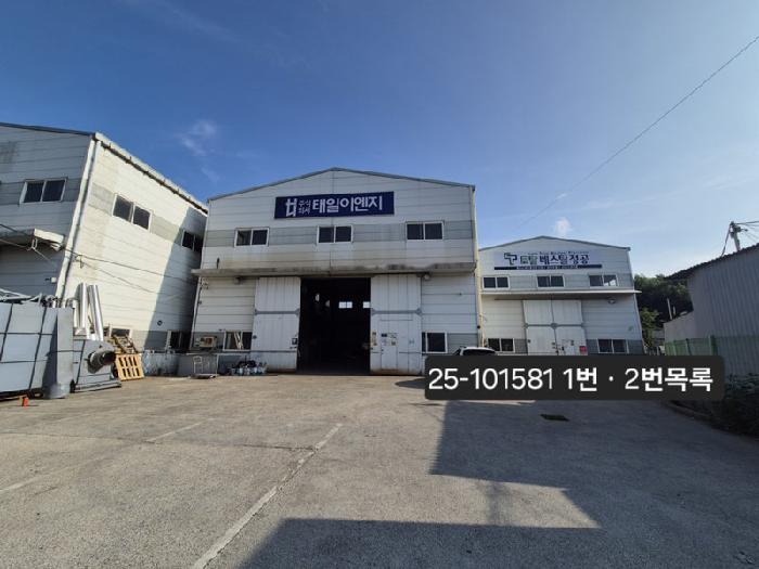 2025타경101581 대지 · 부산광역시 강서구 죽동동 383-1