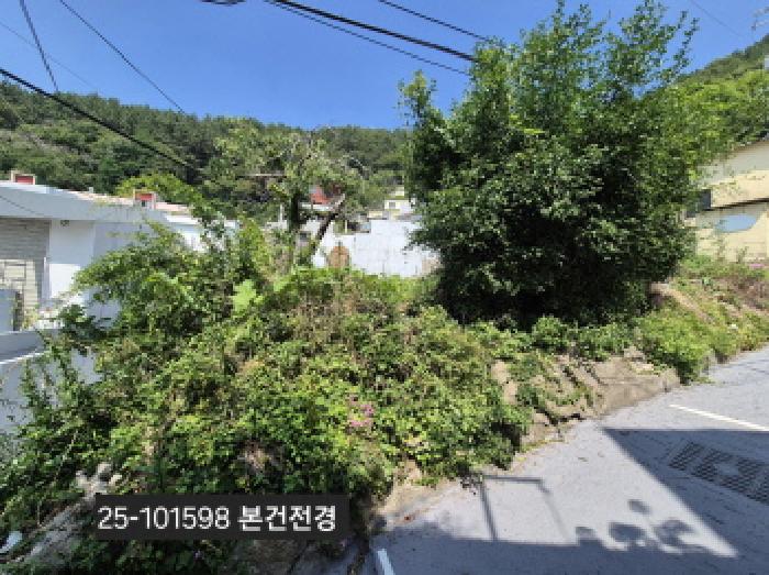 2025타경101598 임야 · 부산광역시 사하구 괴정동 산5-8