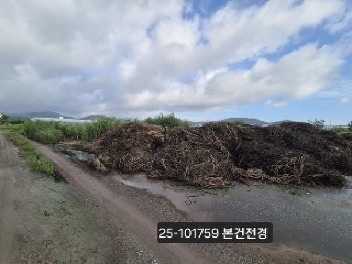 2025타경101759 전답 · 부산광역시 강서구 봉림동
