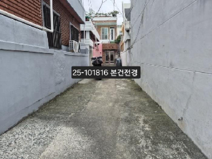 2025타경101816 토지 · 부산광역시 사하구 하단동 310-1