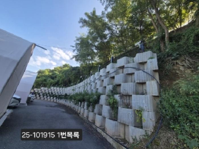 2025타경101915 전답 · 부산광역시 강서구 천성동