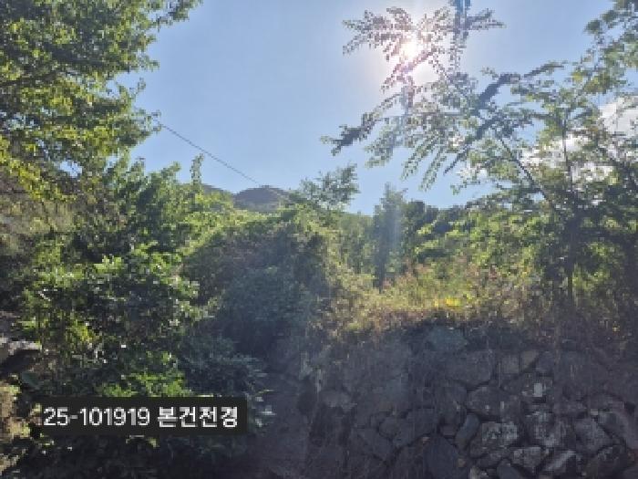 2025타경101919 임야 · 부산광역시 강서구 성북동 산214