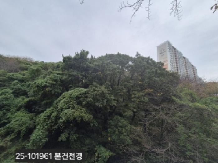 2025타경101961 임야 · 부산광역시 사하구 당리동 16-26