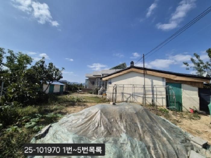 2025타경101970 대지 · 부산광역시 강서구 봉림동 737-61