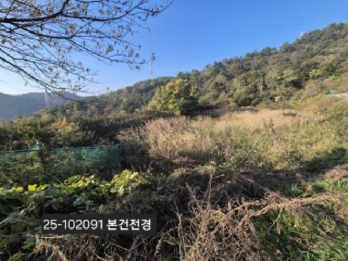 2025타경102091 전답 · 부산광역시 강서구 녹산동