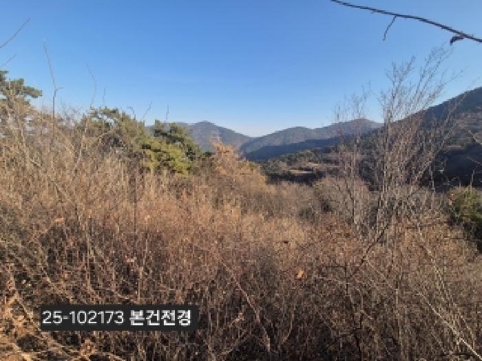 2025타경102173 · 부산광역시 강서구 천성동 268-13