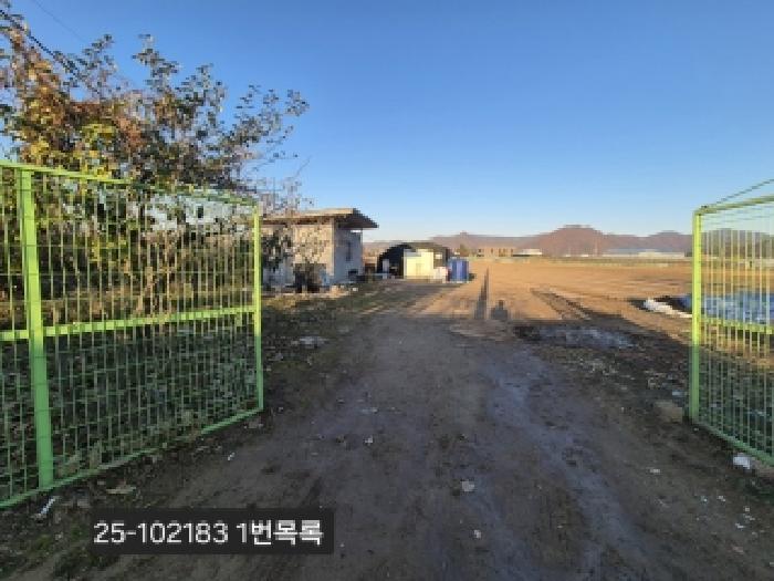 2025타경102183 대지 · 부산광역시 강서구 대저1동