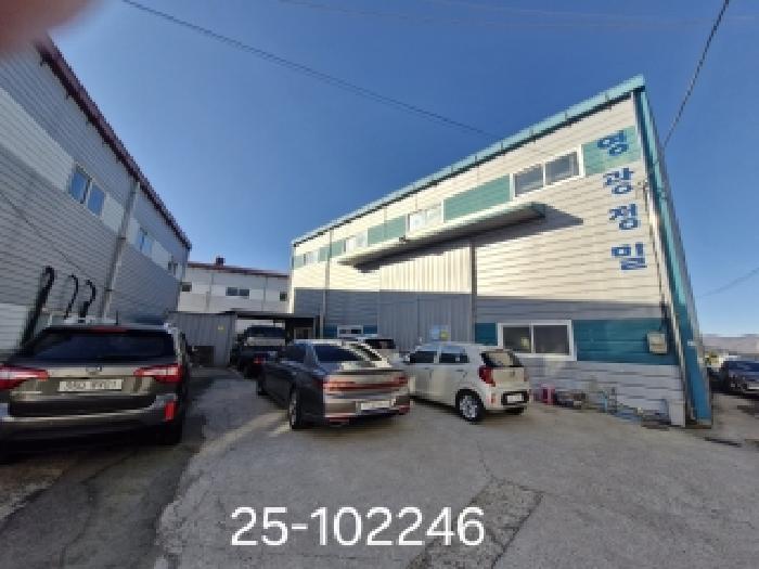 2025타경102246 대지 · 부산광역시 강서구 대저1동 3666-2