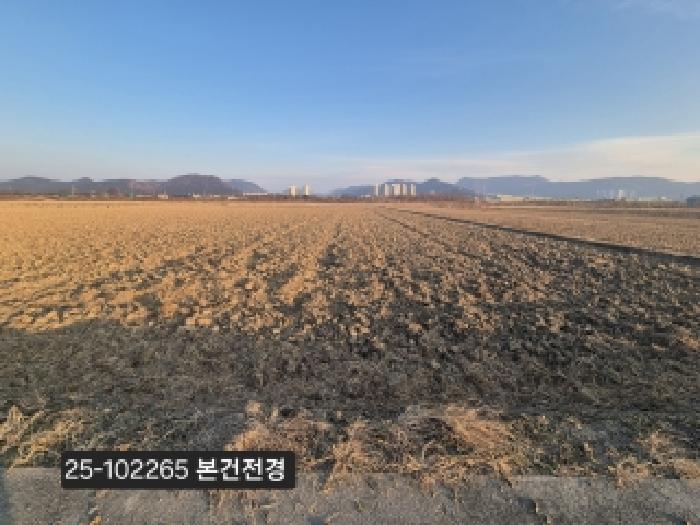 2025타경102265 전답 · 부산광역시 강서구 죽동동 130-2