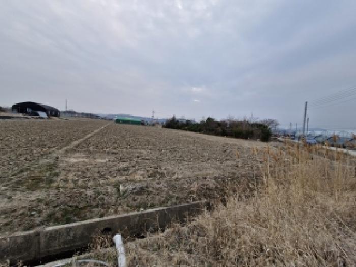 2025타경102268 전답 · 부산광역시 강서구 죽동동 41-63