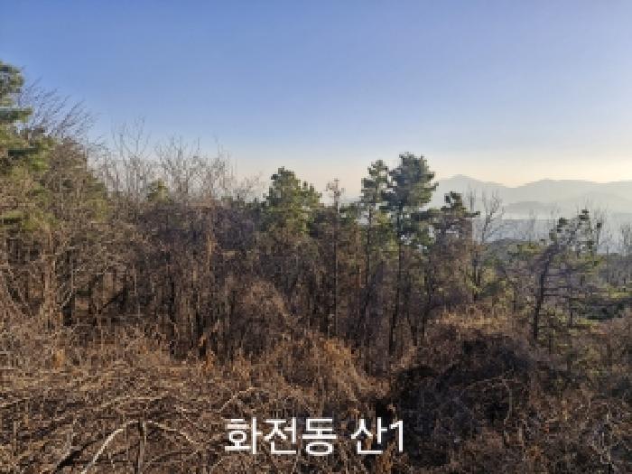 2025타경102329 임야 · 부산광역시 강서구 송정동