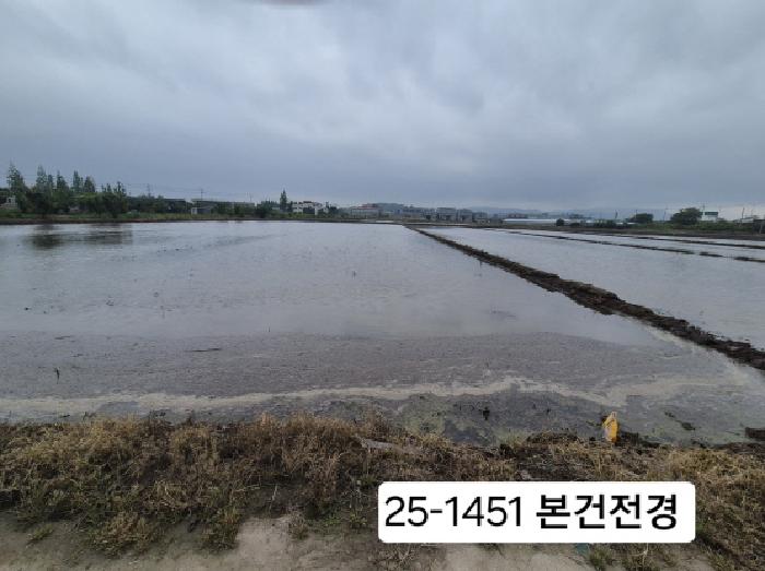 2025타경1451 전답 · 부산광역시 강서구 죽림동