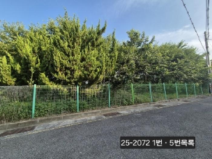 2025타경2072 · 부산광역시 강서구 강동동