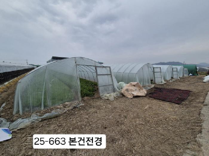 2025타경663 전답 · 부산광역시 강서구 대저2동 5479