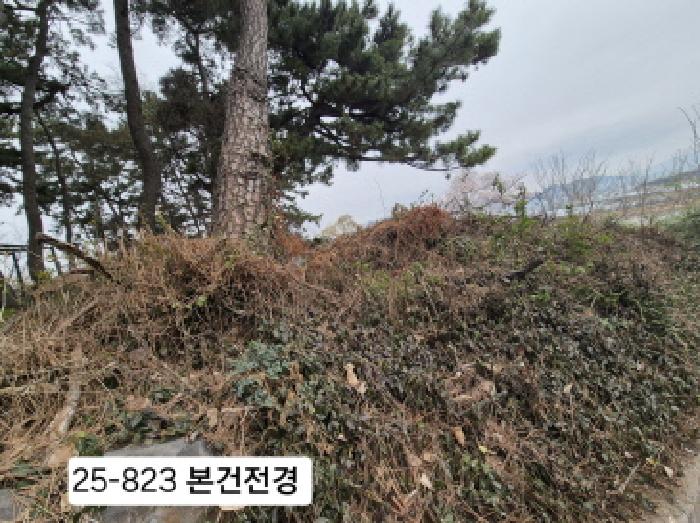 2025타경823 대지 · 부산광역시 강서구 죽림동