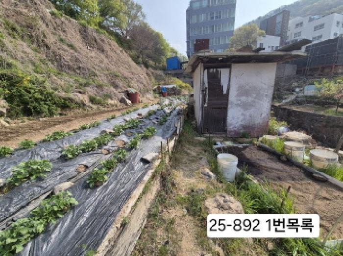 2025타경892 임야 · 부산광역시 사상구 주례동