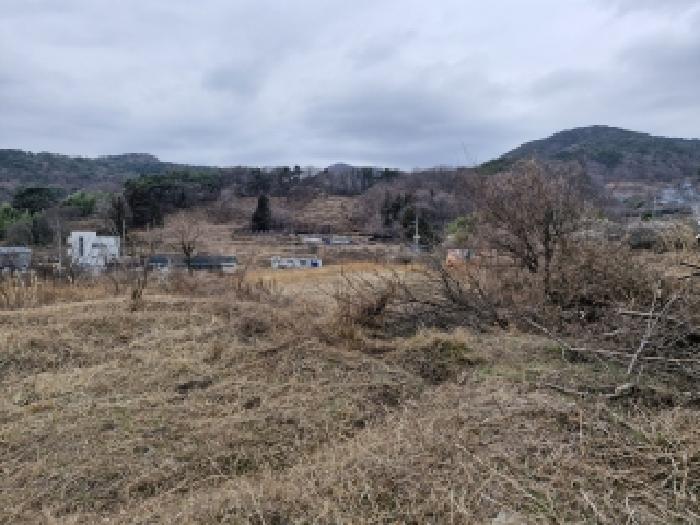 2026타경100178 대지 · 부산광역시 사상구 주례동 846-17