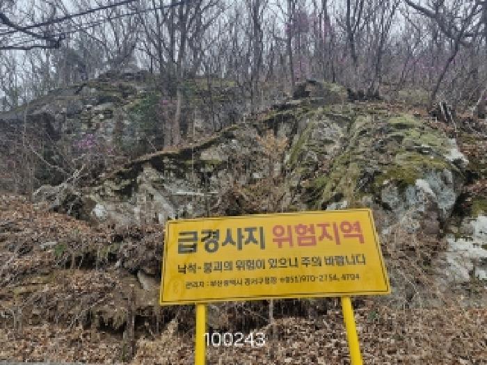 2026타경100243 임야 · 부산광역시 강서구 성북동 산251-2