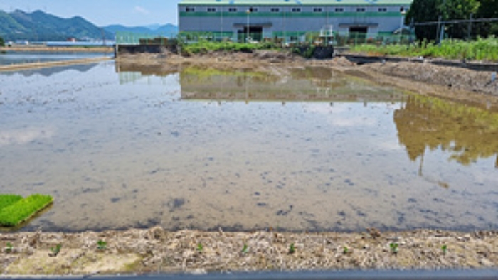 2024타경106941 · 경상남도 창원시 의창구 동읍 월잠리 341