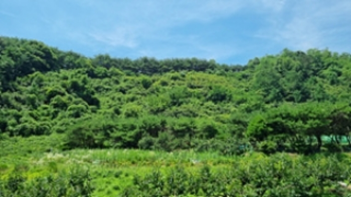2024타경107876 임야 · 경상남도 창원시 의창구 북면