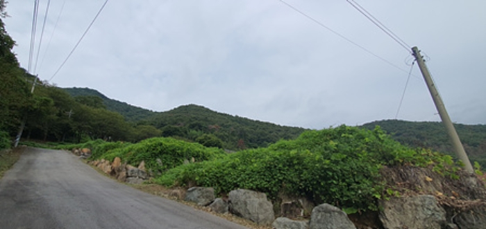 2024타경111028 임야 · 경상남도 김해시 생림면 생철리 1324-8