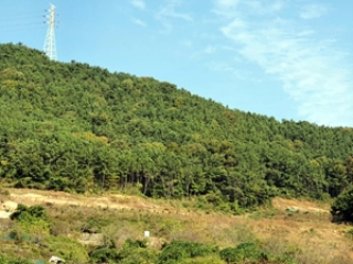 2024타경114935 임야 · 경상남도 창원시 진해구 청안동
