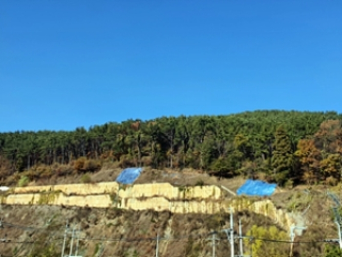 2024타경116054 임야 · 경상남도 창원시 진해구 두동