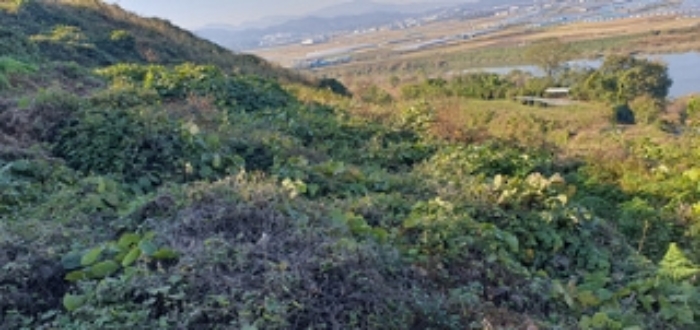 2024타경7068 임야 · 경상남도 김해시 한림면