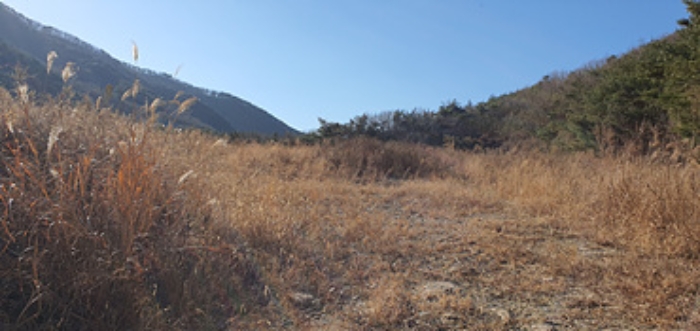 2024타경7808 · 경상남도 김해시 상동면