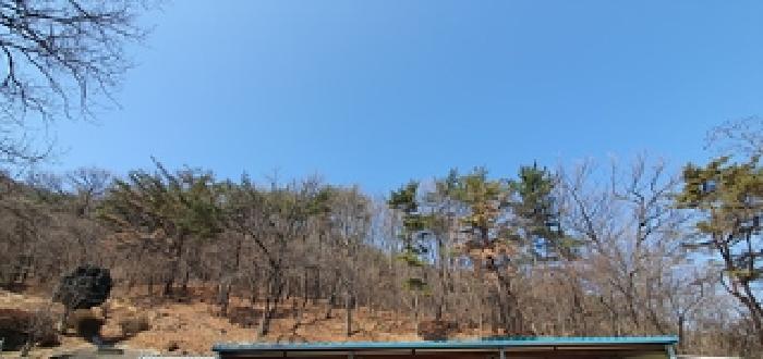 2025타경11131 임야 · 경상남도 김해시 상동면 우계리 산337-9
