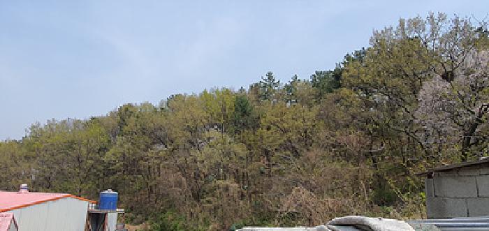 2025타경11273 임야 · 경상남도 김해시 한림면 명동리 산103-2